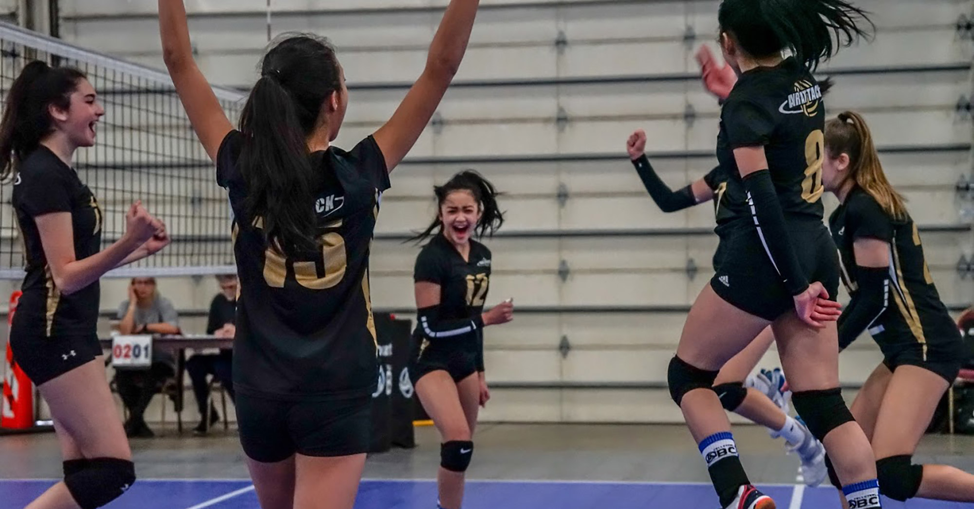 Air Attack Volleyball